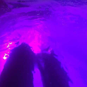 日本污视频网站
