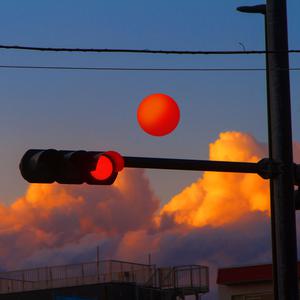 日本污视频网站
