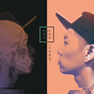 日本污视频网站
