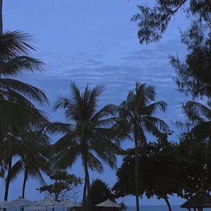 日本污视频网站
